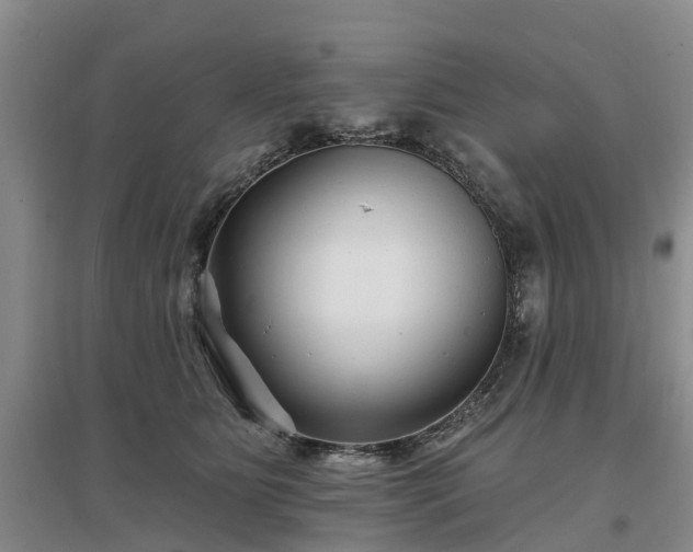 X0000096990515200802151355