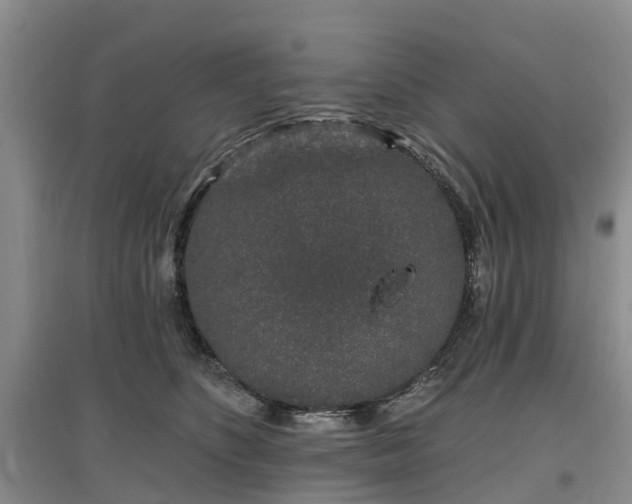 X0000096990516200802151355