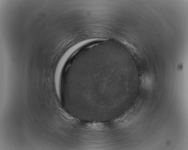 X0000096990517200802151355