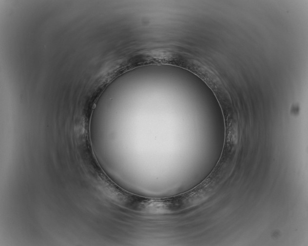 X0000096990518200802151355