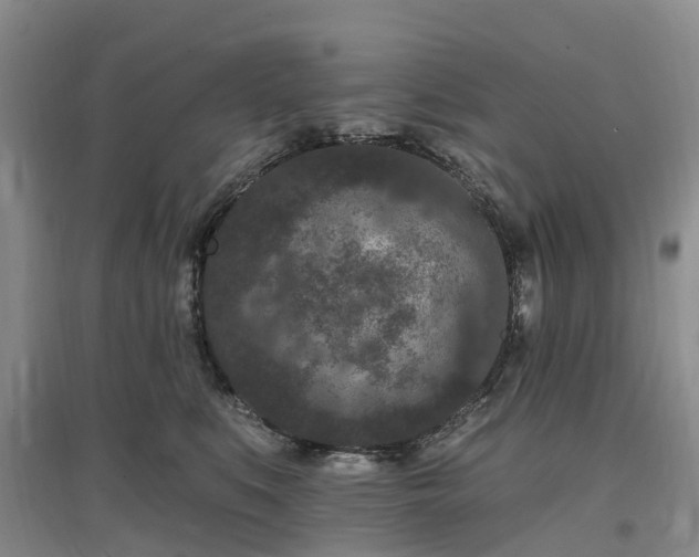 X0000096990519200802151355