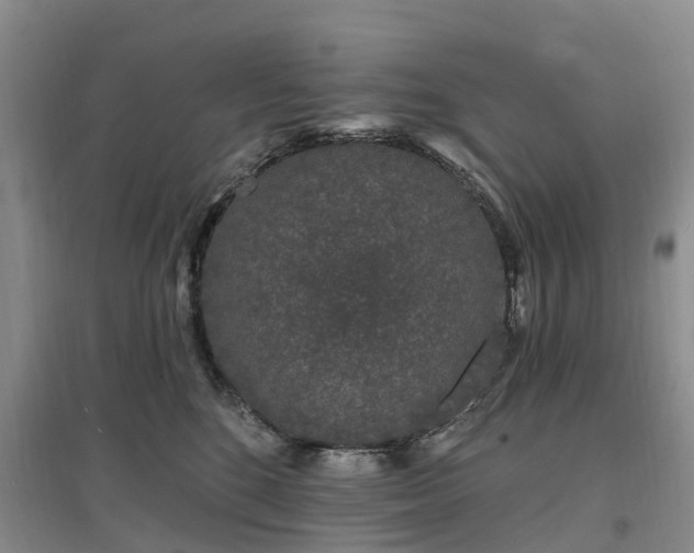 X0000096990520200802151355