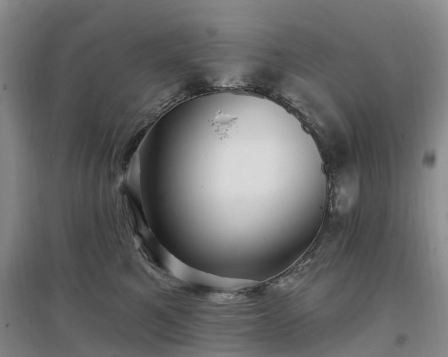 X0000096990521200802151355