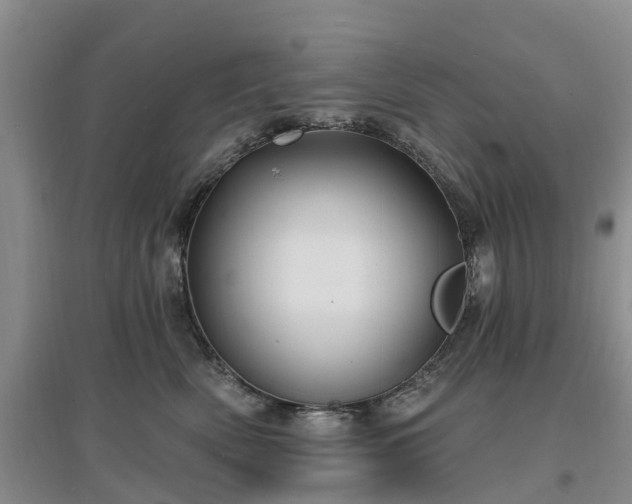 X0000096990522200802151355