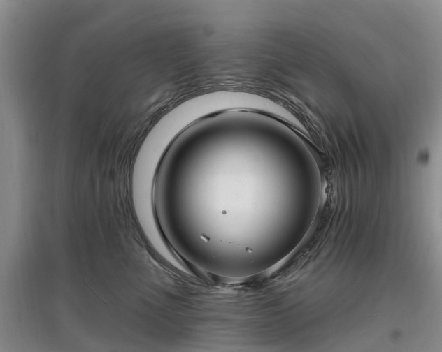 X0000096990523200802151355