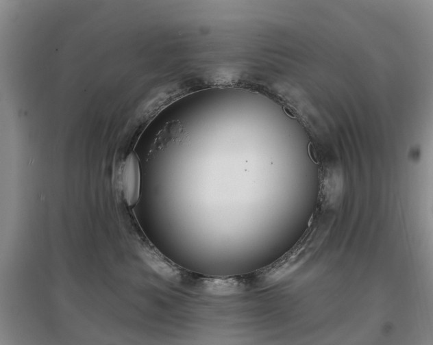 X0000096990525200802151355