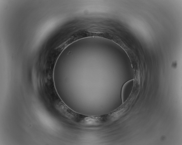 X0000096990526200802151355