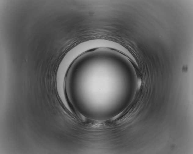 X0000096990527200802151355
