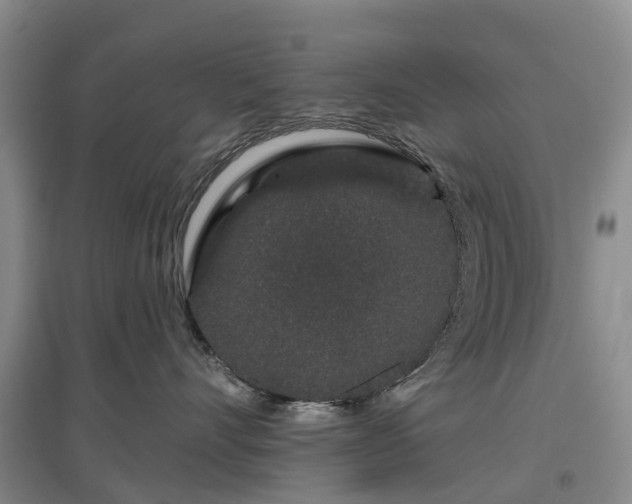 X0000096990528200802151355