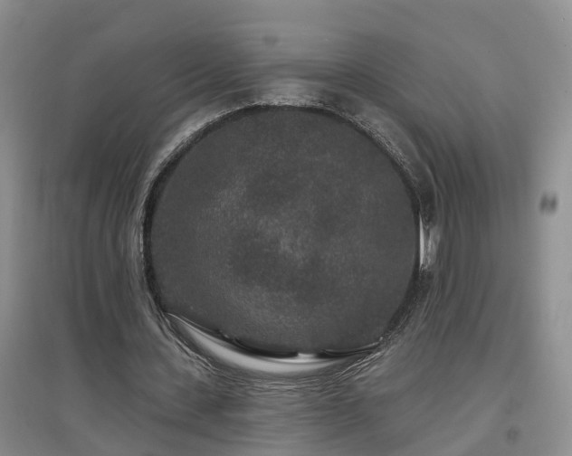 X0000096990531200802151354