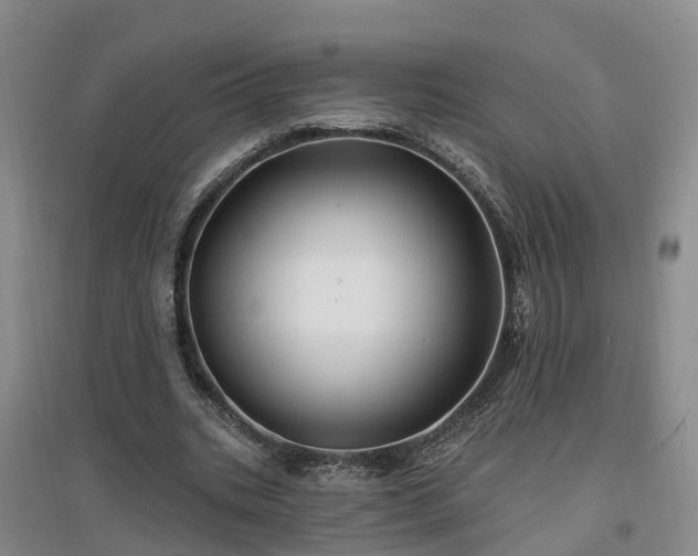 X0000096990535200802151354