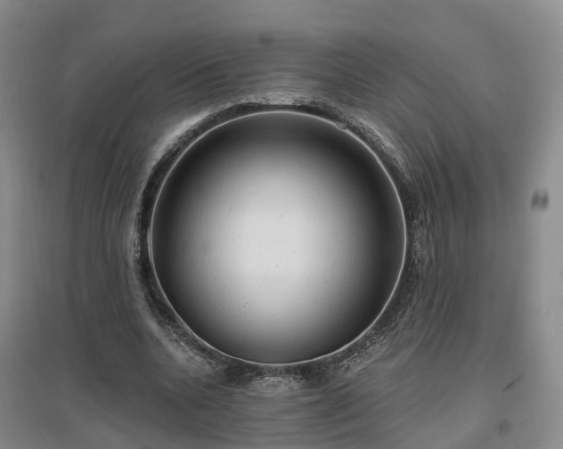 X0000096990536200802151354