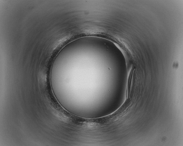 X0000096990539200802151354