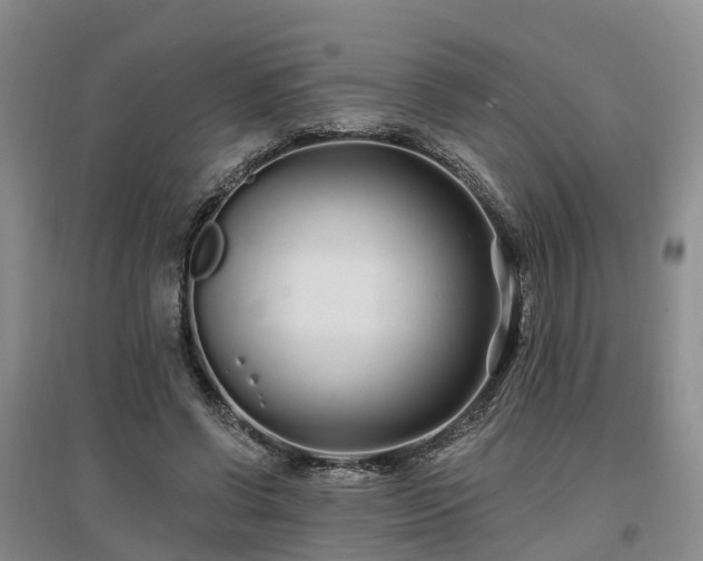X0000096990542200802151354
