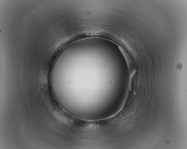 X0000096990543200802151354