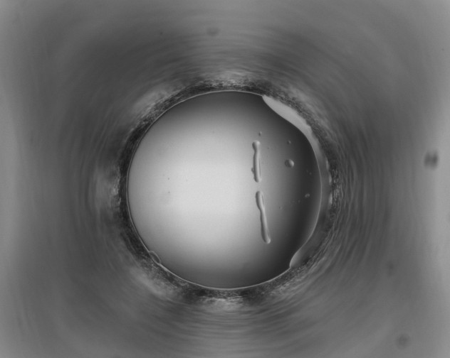 X0000096990548200802151354