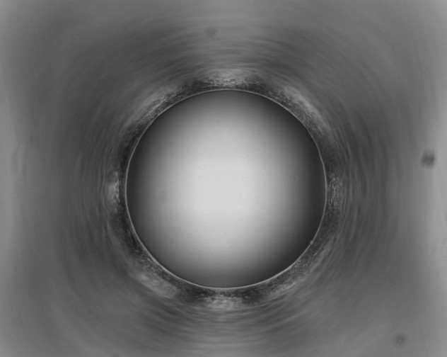 X0000096990549200802151354