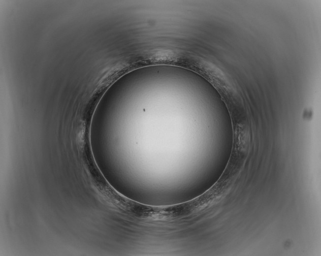 X0000096990550200802151354