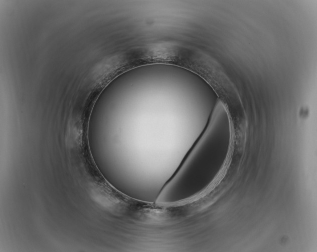 X0000096990552200802151354