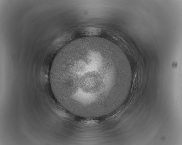 X0000096990553200802151355
