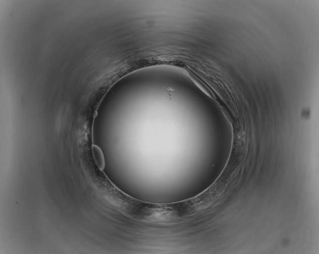 X0000096990555200802151355
