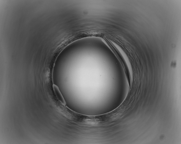 X0000096990556200802151355