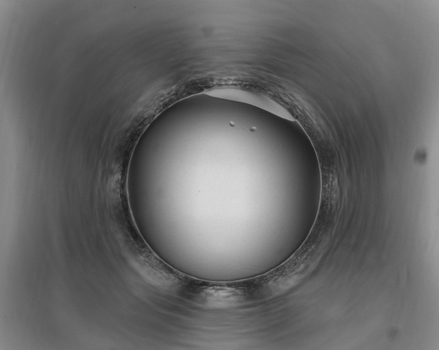 X0000096990557200802151355