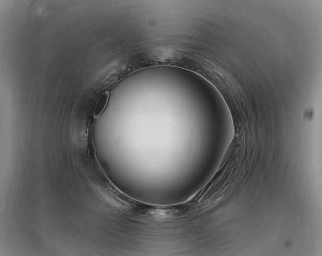 X0000096990558200802151355