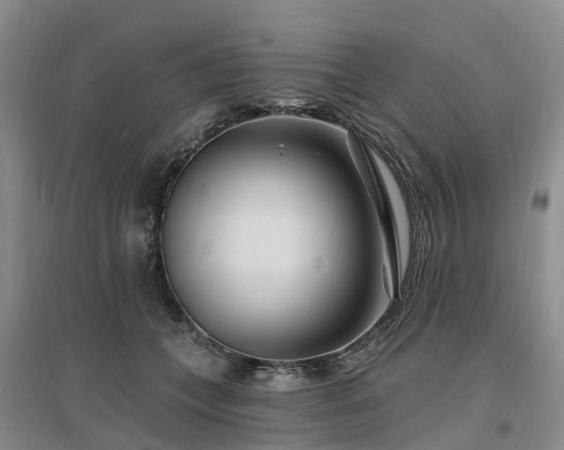 X0000096990559200802151355