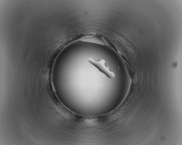 X0000096990560200802151355