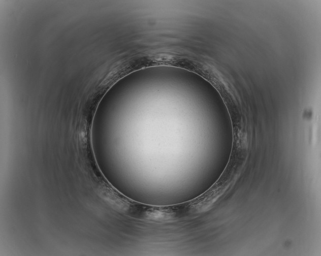 X0000096990561200802151355