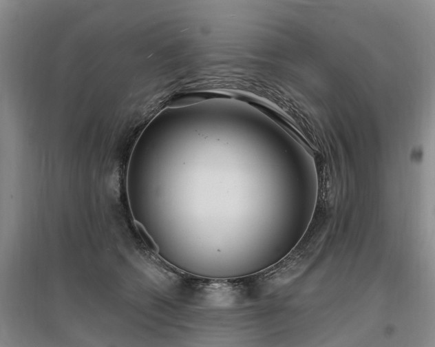 X0000096990562200802151355
