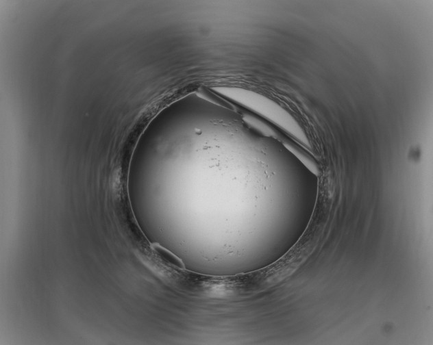 X0000096990564200802151355
