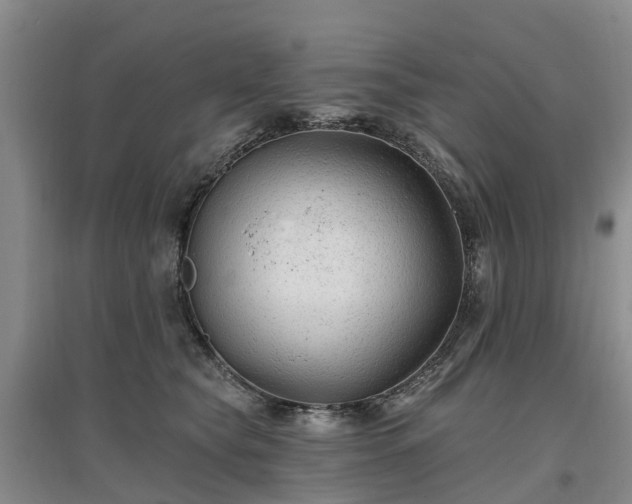 X0000096990565200802151355