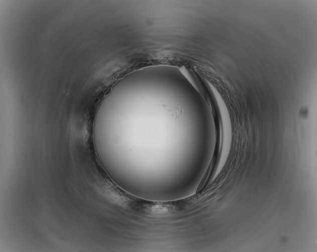 X0000096990566200802151355