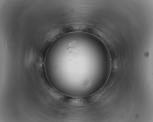 X0000096990567200802151355