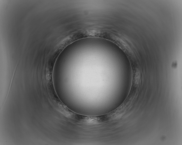 X0000096990569200802151355