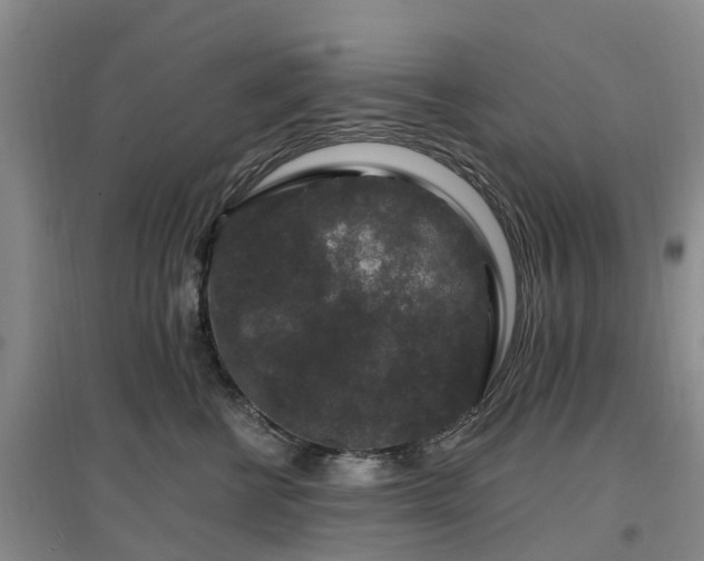 X0000096990570200802151355
