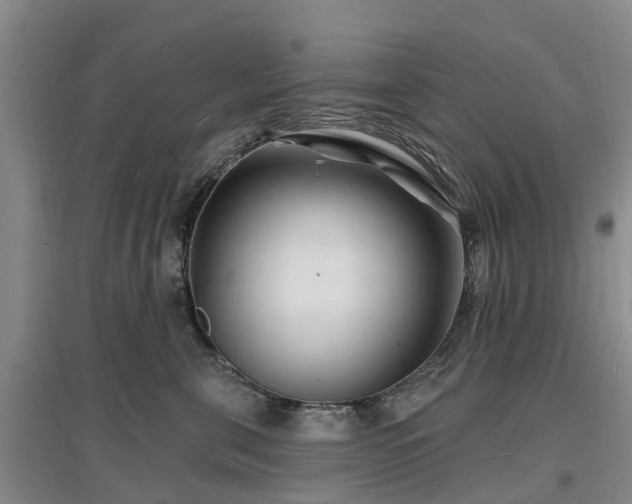 X0000096990571200802151355