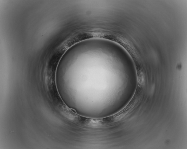 X0000096990573200802151355