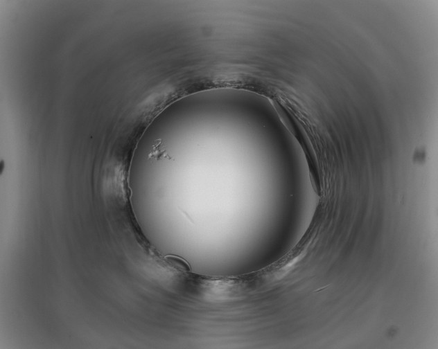 X0000096990575200802151355