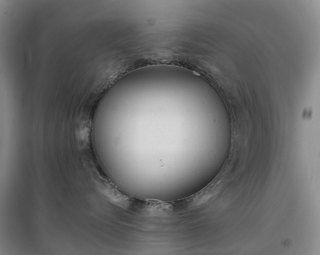 X0000096990576200802151355