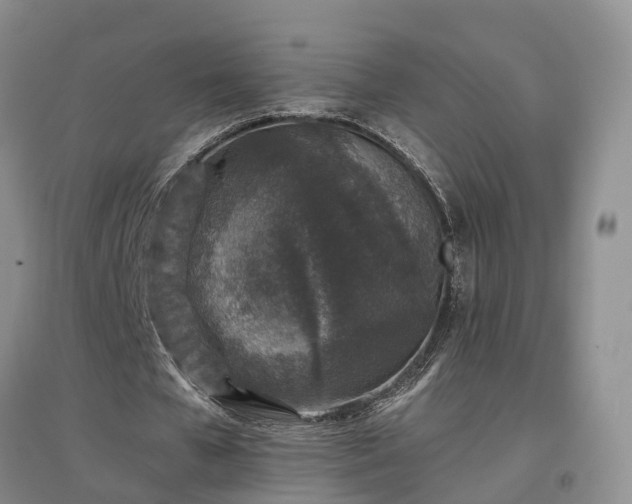 X0000096990577200802151354