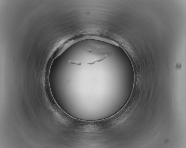 X0000096990578200802151354