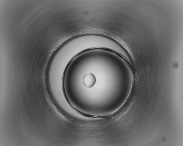 X0000096990581200802151354