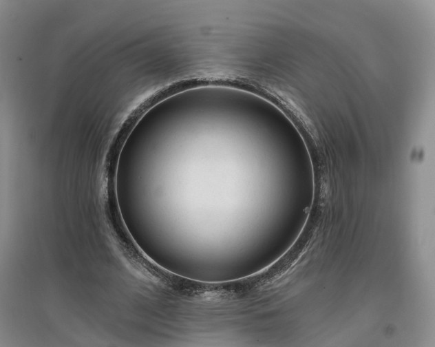 X0000096990584200802151354