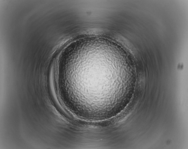 X0000096990585200802151354