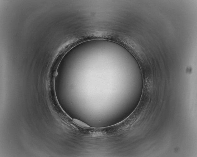 X0000096990587200802151354