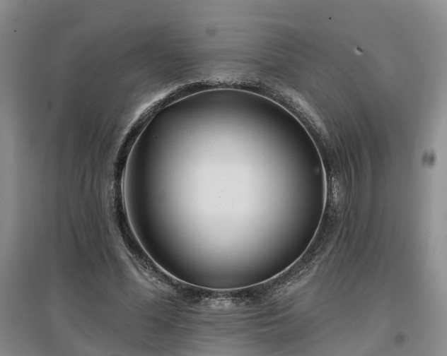 X0000096990588200802151354