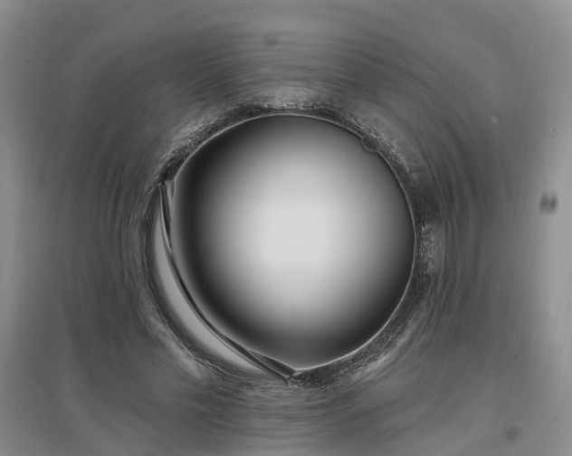 X0000096990589200802151354